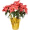 Northlight 20" Dark Pink Artificial Christmas Poinsettia with Gold Wrapped Base